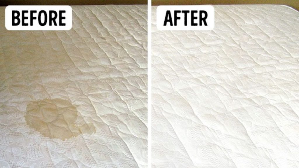 Mattress Steam Cleaning